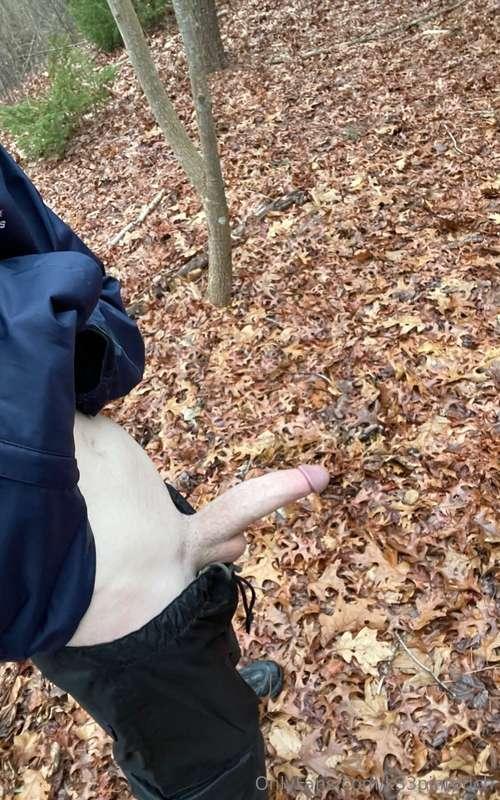 What would you do if you saw me walking in the woods?