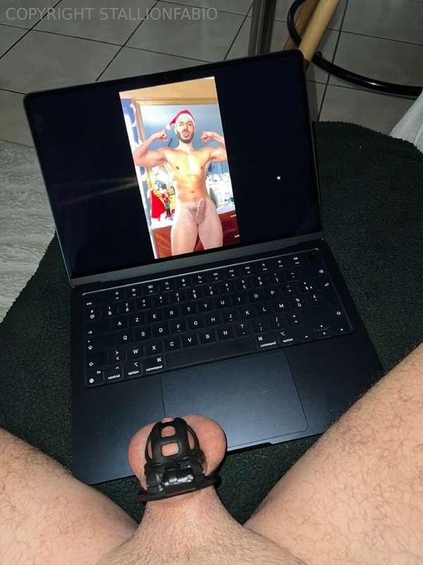 stallionfabio image #0