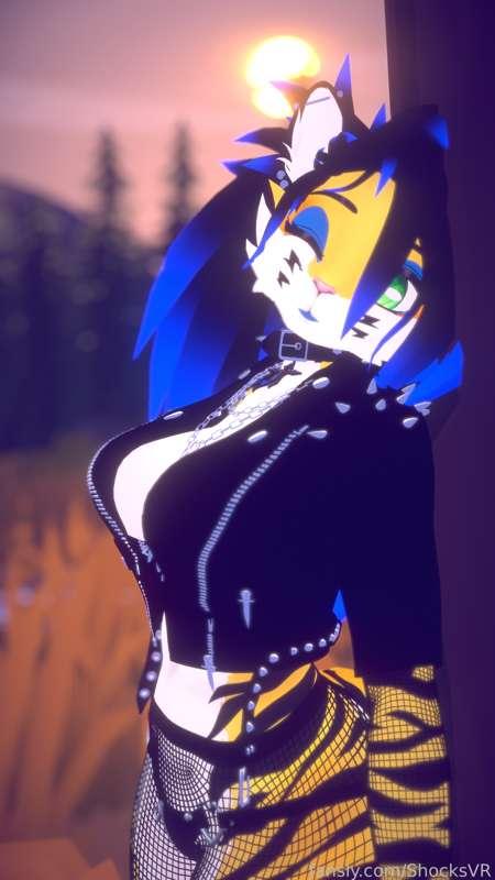 shocksvr image #2