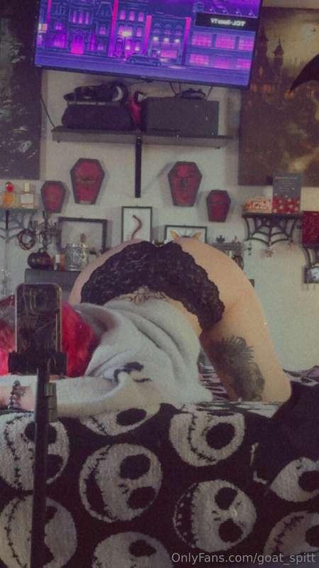 goat_spitt image #0