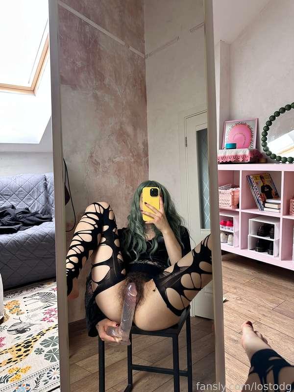 lostodg image #1