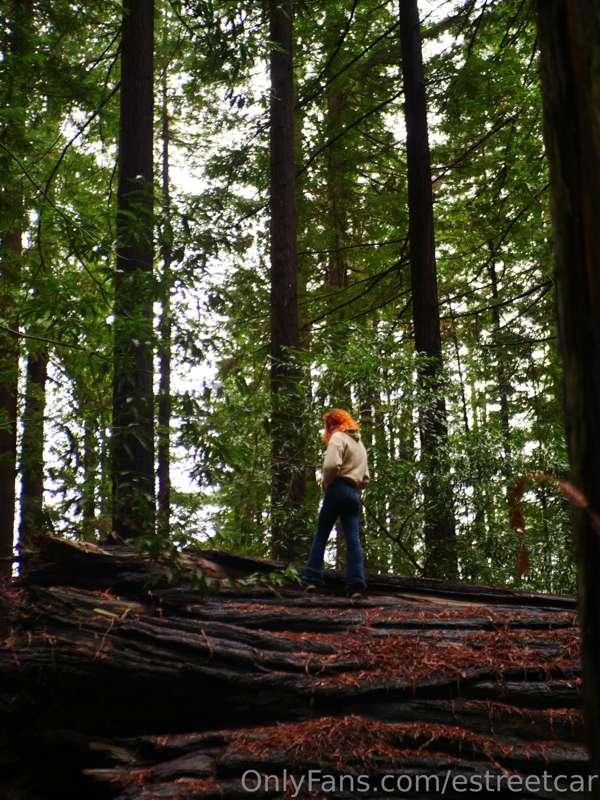 now that’s what i call big wood