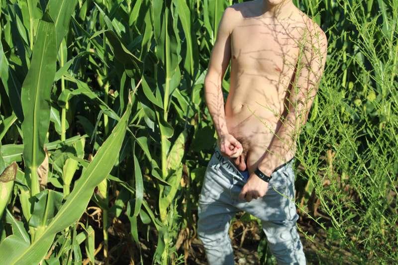 more of johnny in the corn ;) sack full of cum too