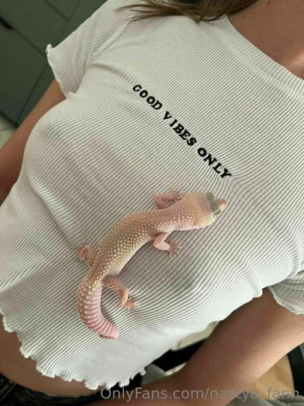 My lizard loves me and my body) I think you would love too)😊..