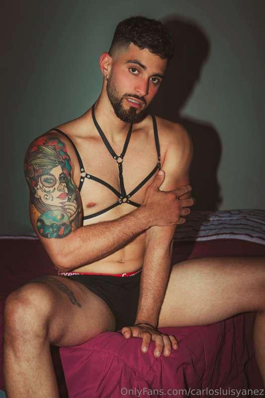 carlosluisyanez image #2