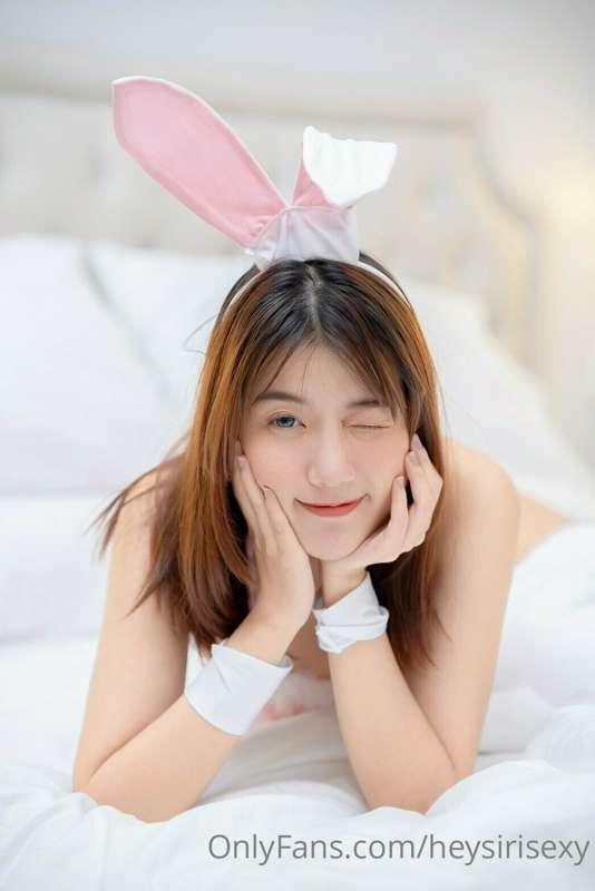 กระต่ายอยากโชว์
Bunny Girl

#กระต่ายชมพู (โอนตรง 440บาท)