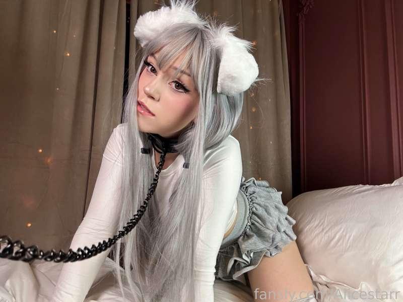 alicestarr image #1