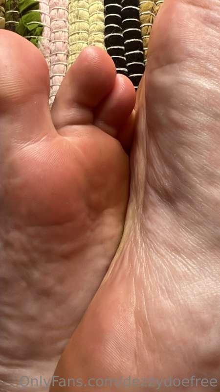 dezzydoefree main image