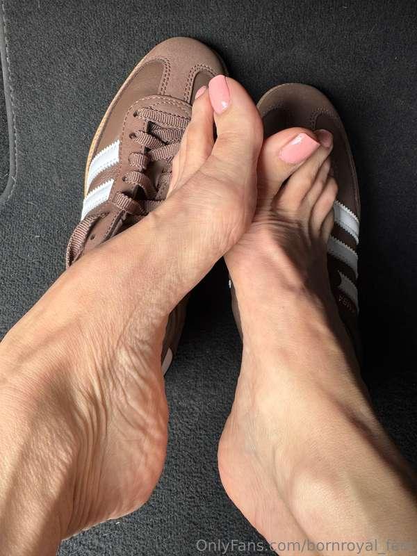 bornroyal_feet image #0