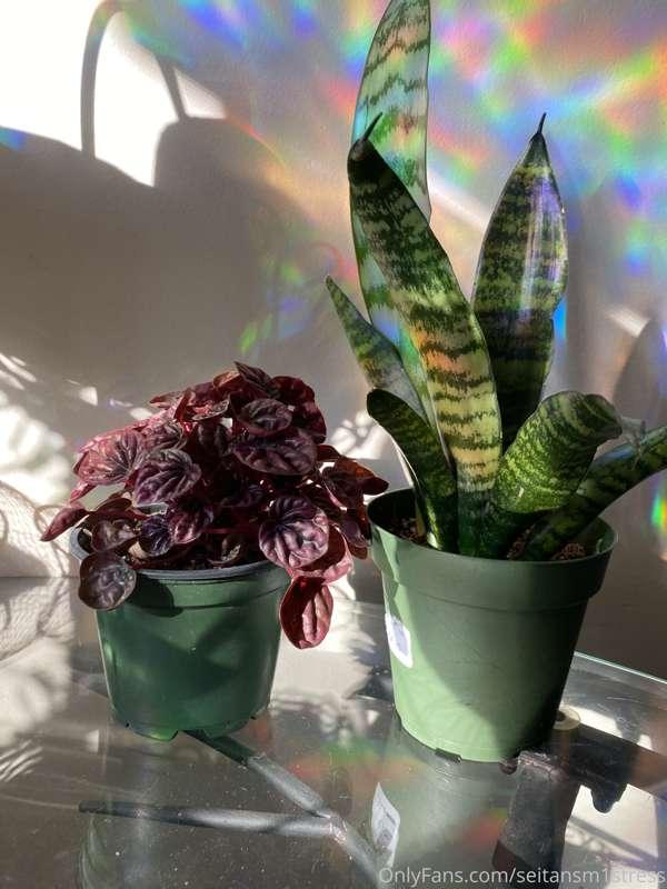 seitansm1stress image #3