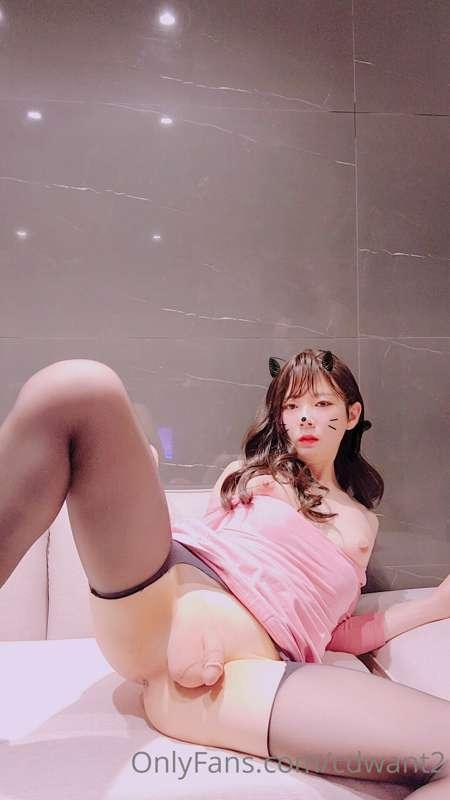 cdwant2 image #6
