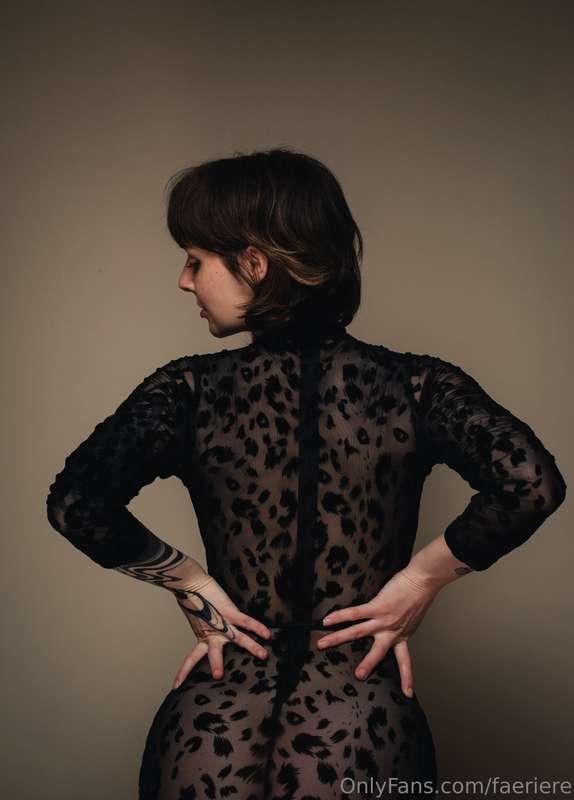 faeriere image #2