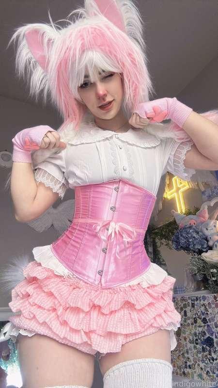 indigowhite image #41