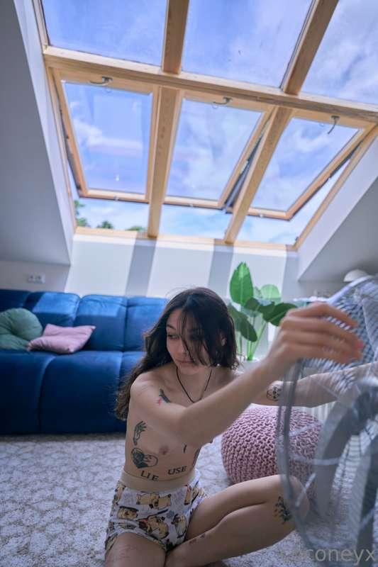 coconeyx image #2