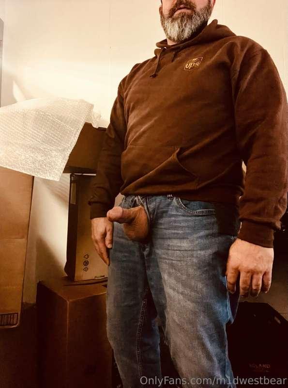 m1dwestbear image #1