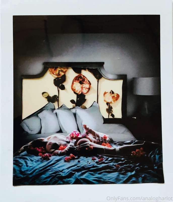 Polaroid collages.
These are available for purchase as matte..