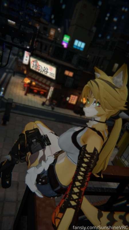 sunshinevrc image #52