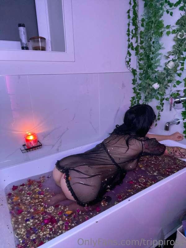 trippirose image #9