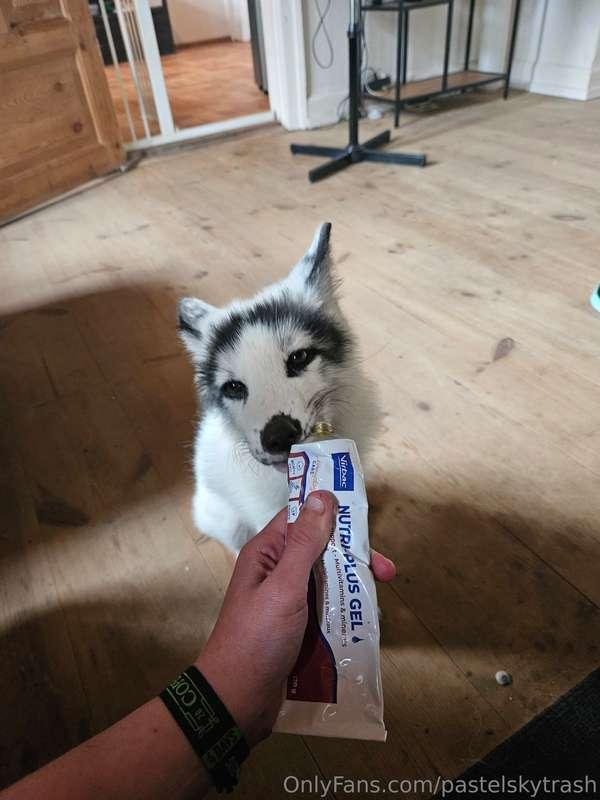 Look at his face 🥹🥹