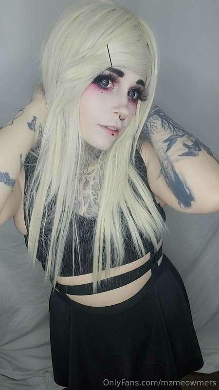 mzmeowmers main image