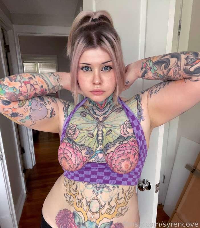 hi hi