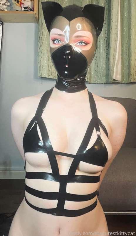 thecutestkittycat image #11