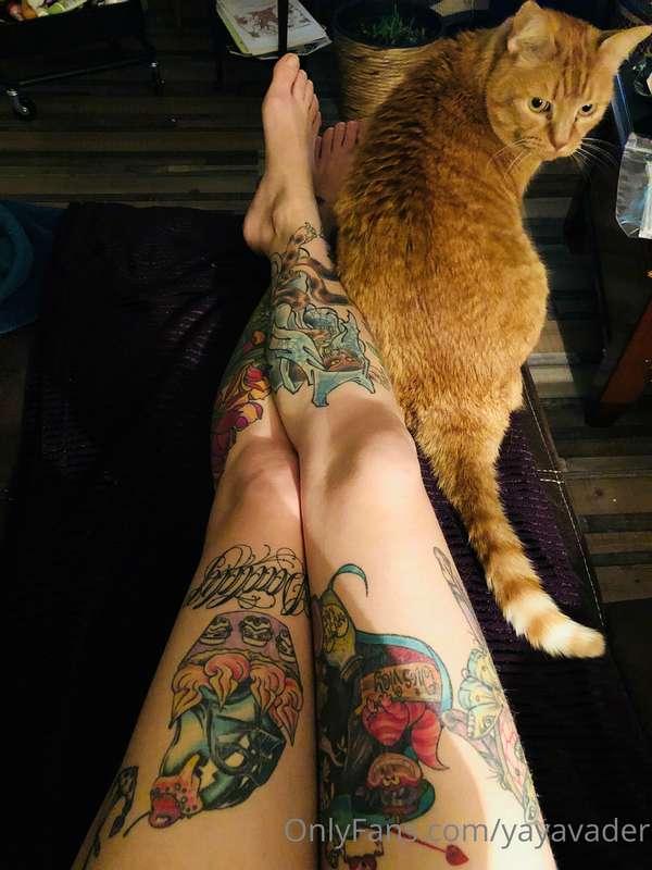 Miauuuuu time :)