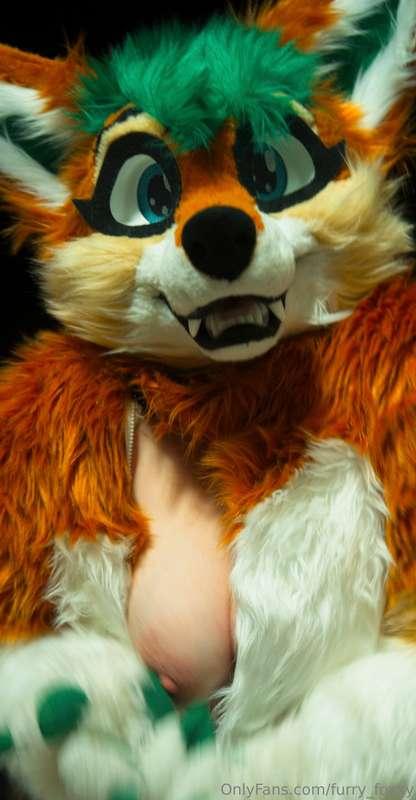 It´s fluff time! Need something to snuggle? I´m here! :D Ans..