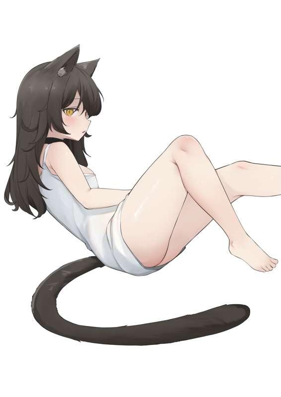 2024. Apr. 25 (Panther A)