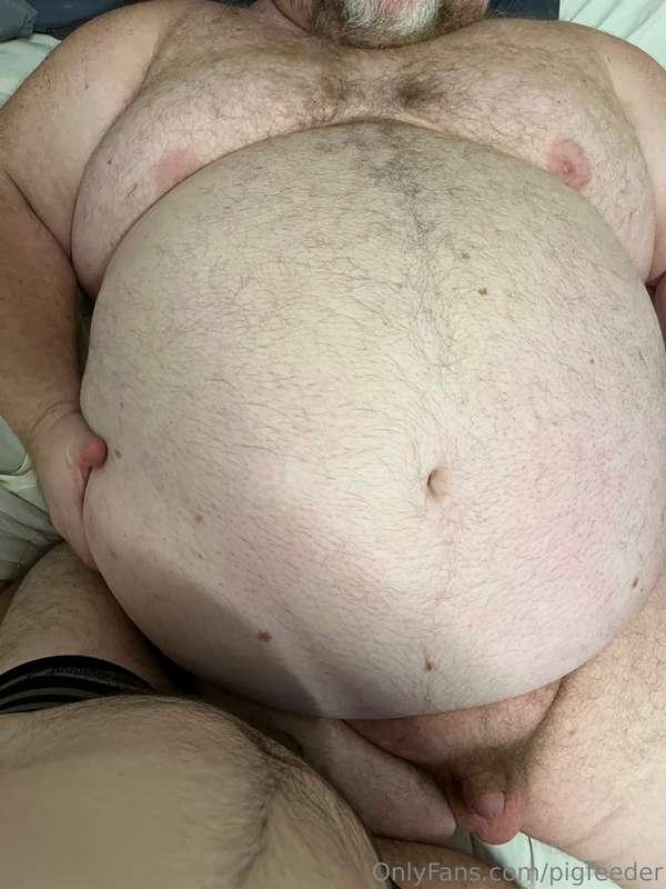 A collection of pics with bearadox