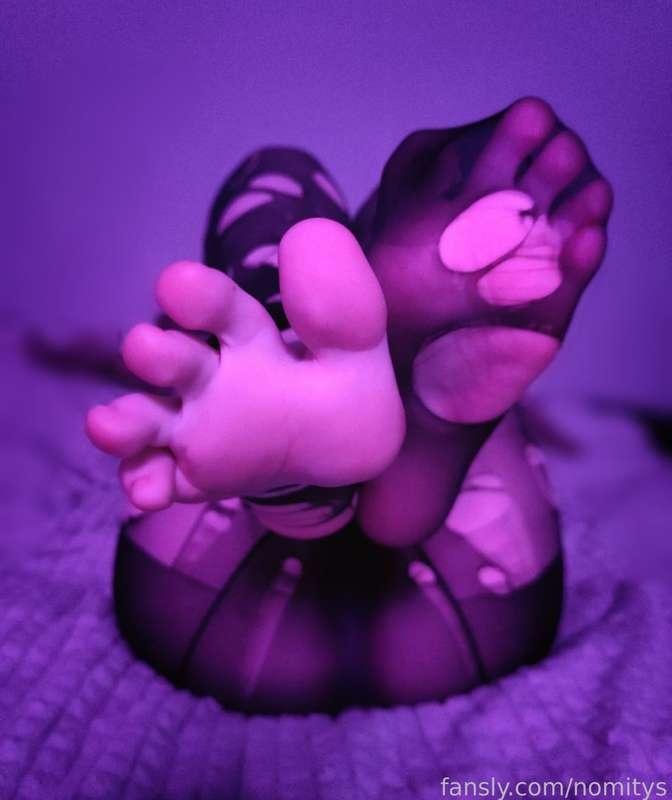 Some feet from my twitter 💜✨

#feet #footfetish #foot #nylons #nylon #dildo #fyp #free #toes #soles #oil #stockings #pantyhose  
