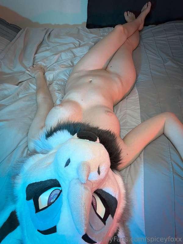 spiceyfoxx main image