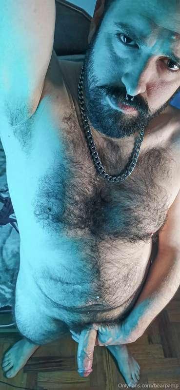 bearpamp main image