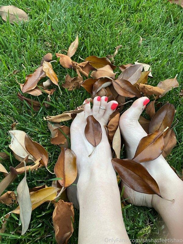 I loved playing in these leaves barefoot?? + extra photos re..