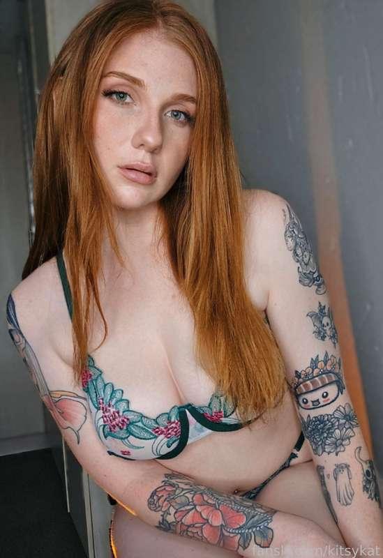 kitsykat image #1