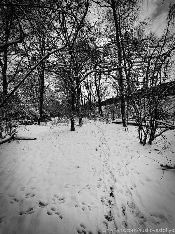 In my dark tinted world winter is the most beautiful season ..