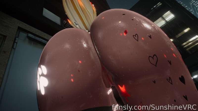 sunshinevrc image #19