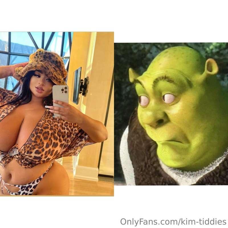 Don’t get any ideas Shrek👀, I’d hate to have Fiona as an ene..