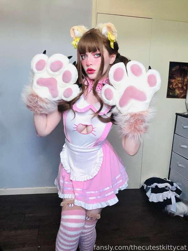 thecutestkittycat image #1