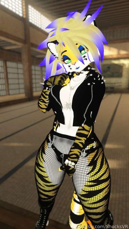 shocksvr image #2