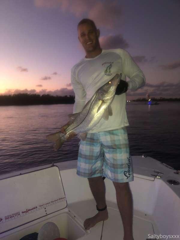 Caught a FAAAAT snook tonight. 31” on the dot. Can’t wait to..
