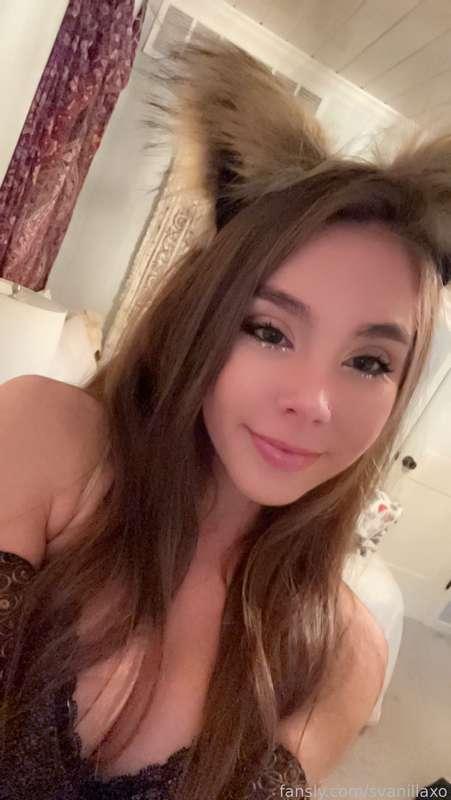 svanillaxo image #1