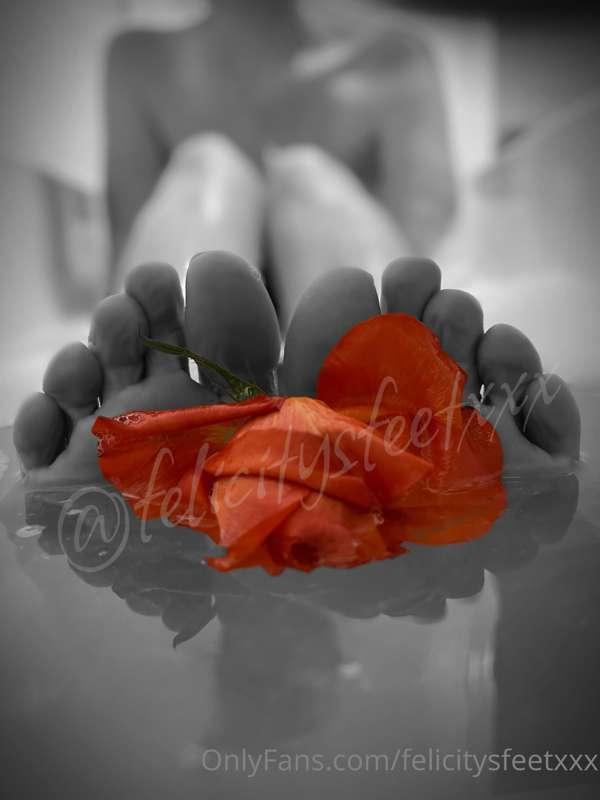 Toes and roses