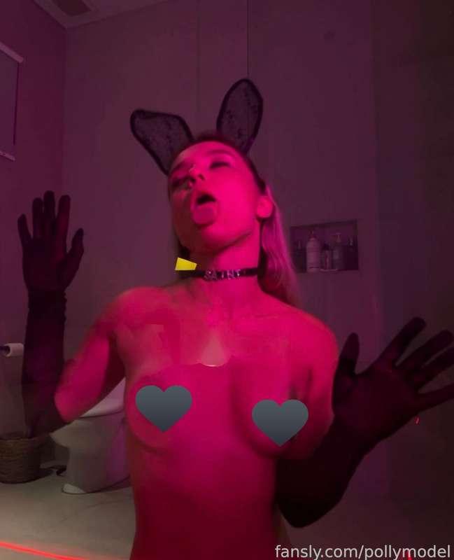 pollymodel image #0