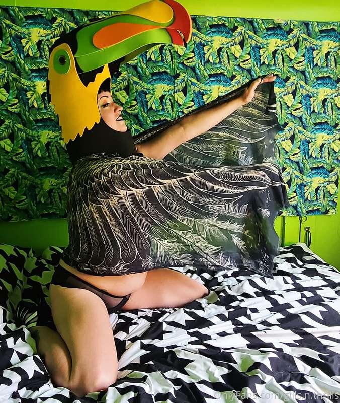 Free Preview of the new toucan themed set below!