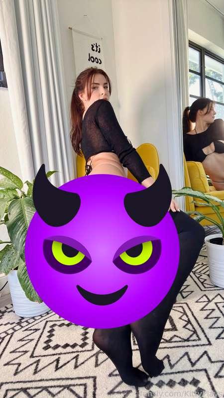 kittyplays image #3