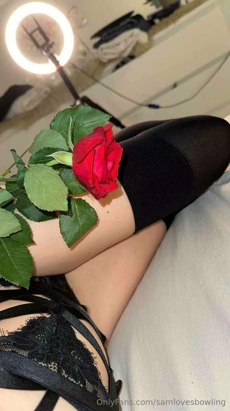 Looking for a valentine rn ( hope I'm not to eraly 👀)