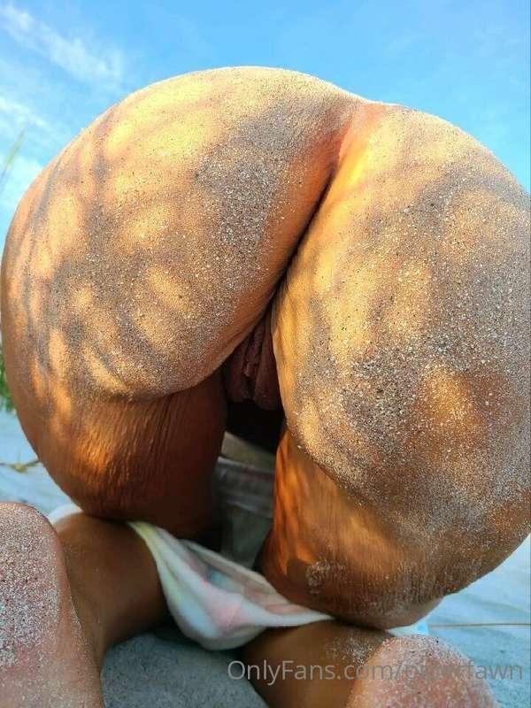 Sandy kitty anyone?!☀️