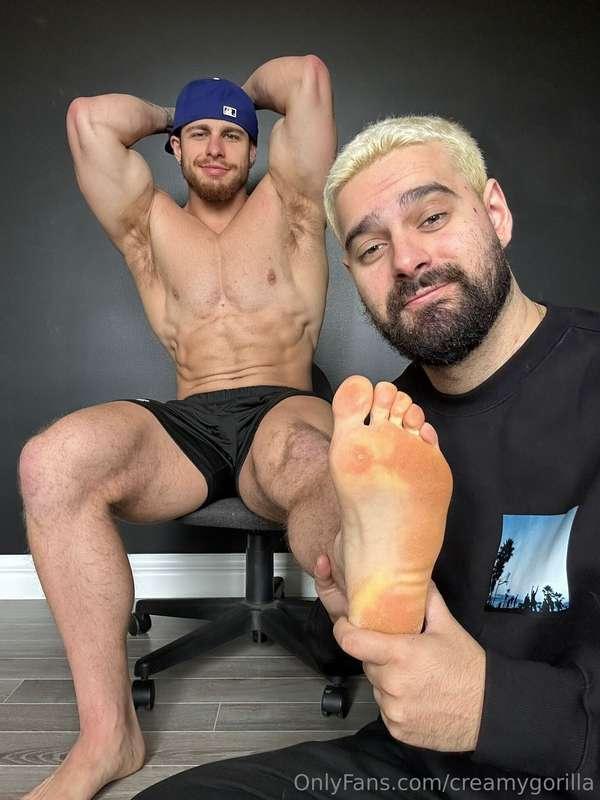 creamygorilla image #0