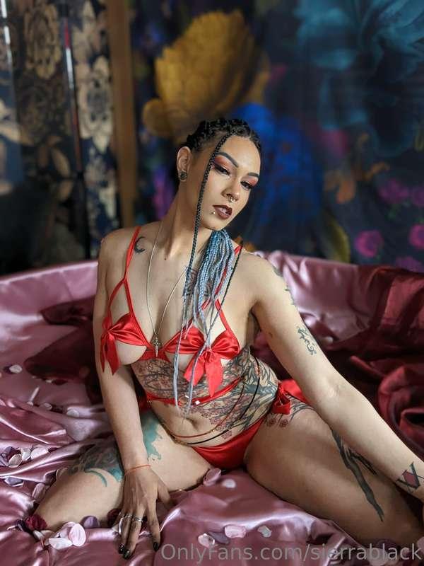 sierrablack image #1